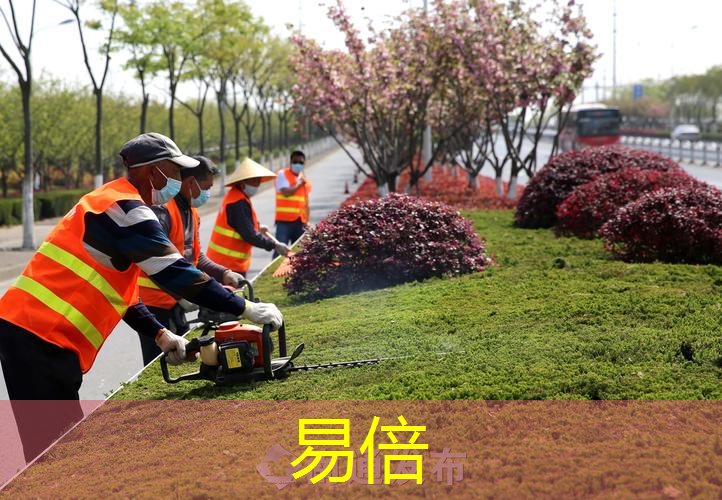如何进行城市游园的园林绿化景观设计？