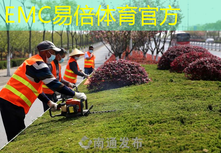 南宫城市道路绿化树种