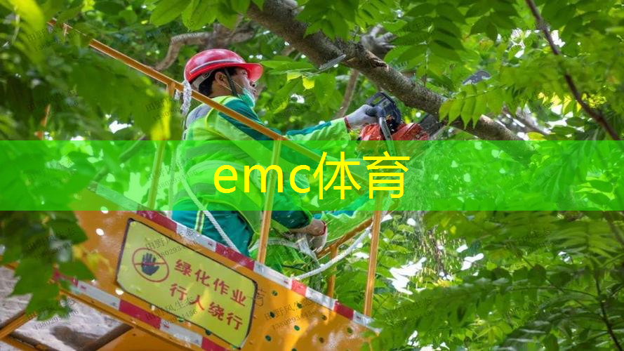 别墅盘园林景观设计资料