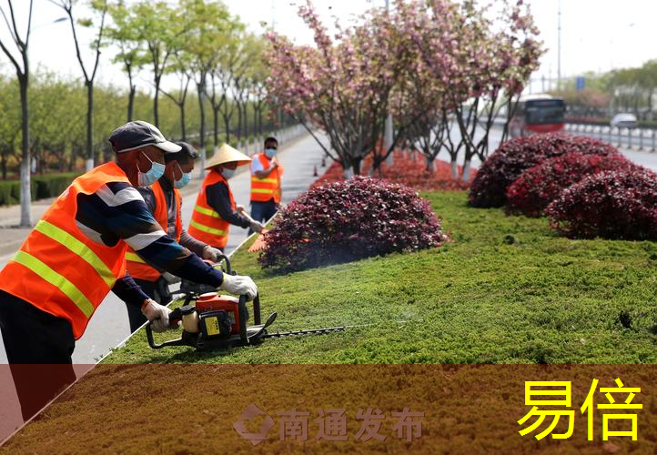 办公室室外园林景观设计