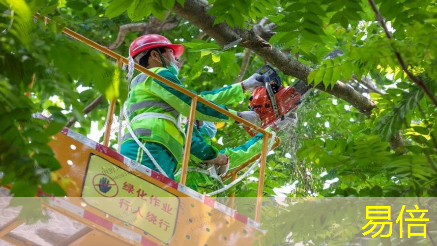 现代园林景观设计施工方案