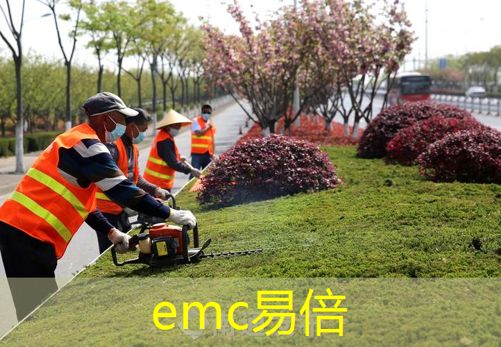 广西园林绿化工程最后的施工流程