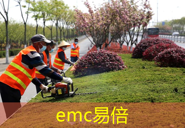 香港为何重视绿化工程呢