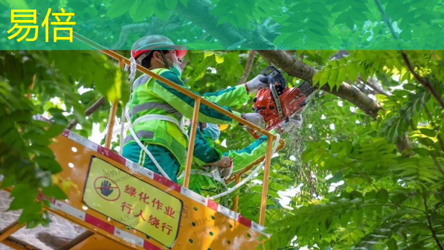 温岭开元一期绿化工程