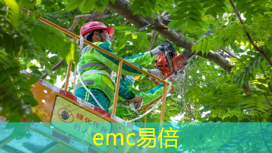 十二庄园苗木园林绿化工程