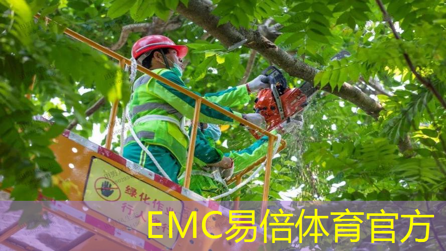 别墅园林景观设计廊架