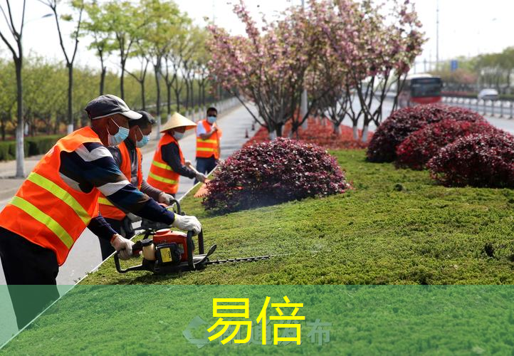 粮农组织发布新报告《干旱区城市林业和城市绿化》｜绿会国际讯