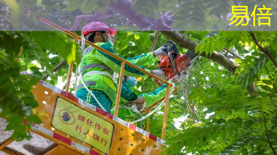 绿化工程报价一般是装车价的几倍