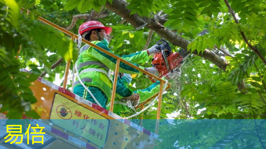 绿化工程李总简历资料