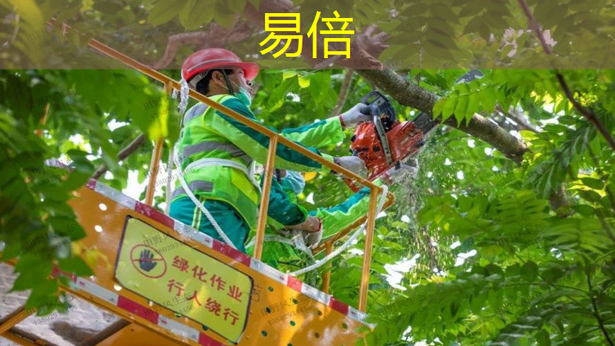 6000平园林景观设计