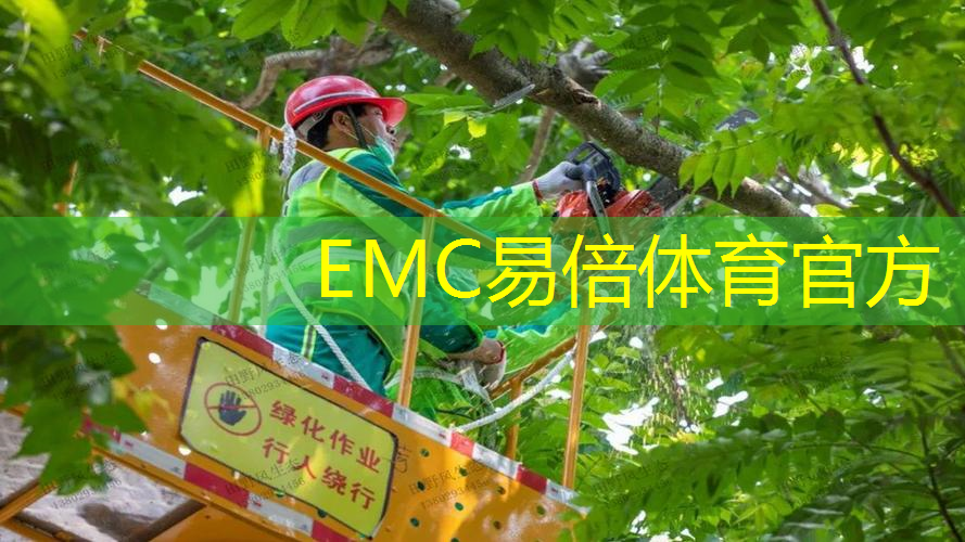 园林绿化工程造景方案设计