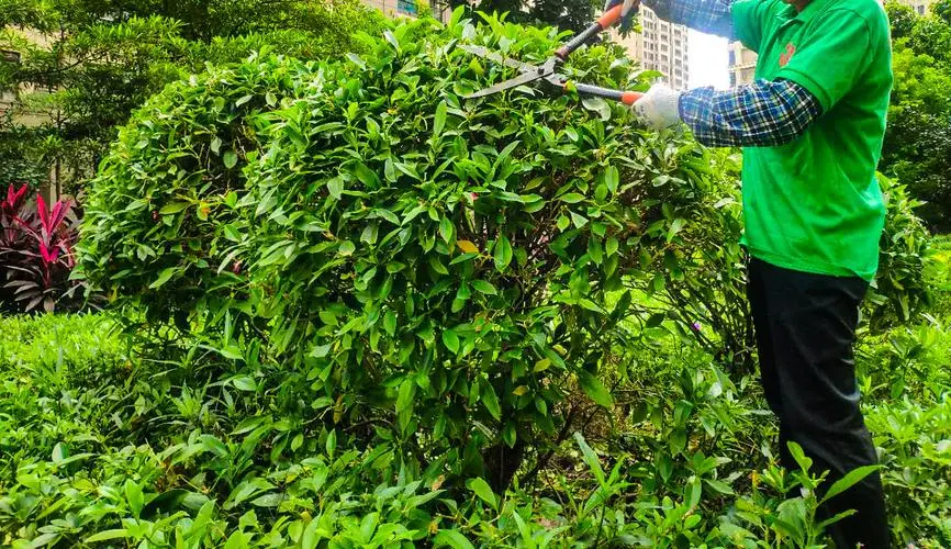 绿化工程需要水准仪吗 绿化工程需要水准仪吗