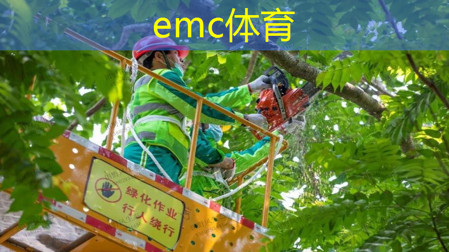 从化别墅园林景观设计费用